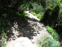 Lazurowa Ścieżka - Część Monterosso - Vernazza, 4320x3240, 2,53 MB