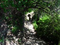 Lazurowa Ścieżka - Część Monterosso - Vernazza, 4320x3240, 2,50 MB